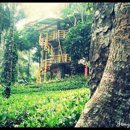 Jungle Jive Treehouse And Farm House Munnar Eksteriør billede
