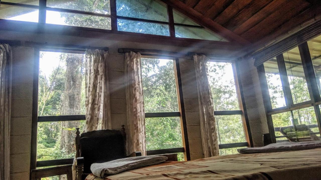 Jungle Jive Treehouse And Farm House Munnar Eksteriør billede