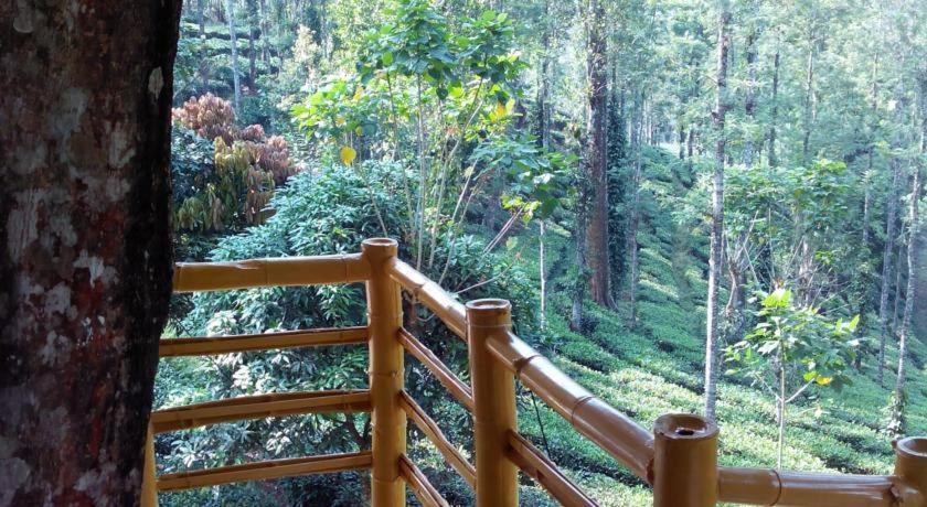 Jungle Jive Treehouse And Farm House Munnar Eksteriør billede