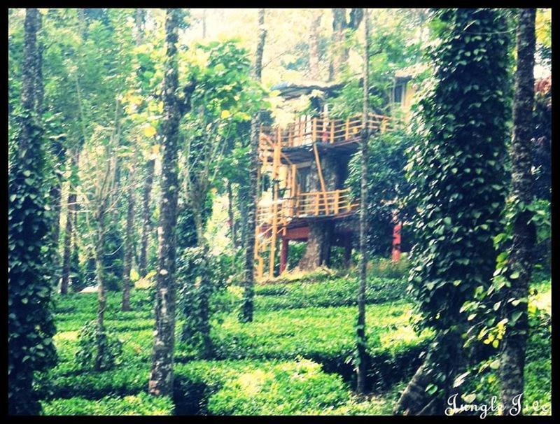 Jungle Jive Treehouse And Farm House Munnar Eksteriør billede