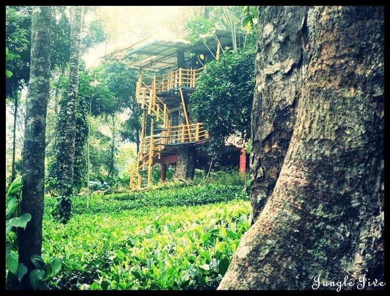Jungle Jive Treehouse And Farm House Munnar Eksteriør billede