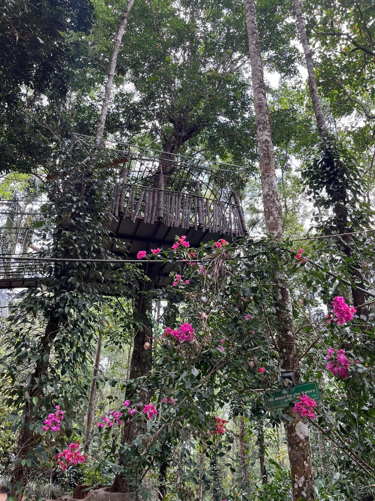 Jungle Jive Treehouse And Farm House Munnar Eksteriør billede