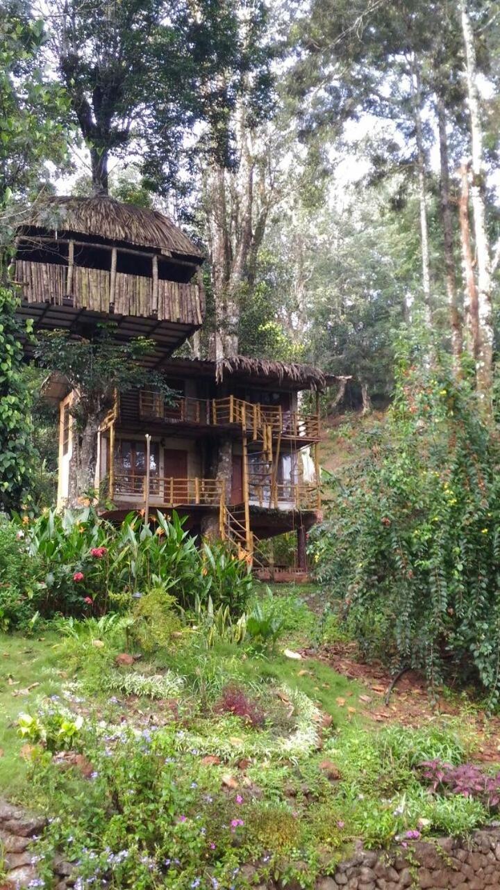 Jungle Jive Treehouse And Farm House Munnar Eksteriør billede
