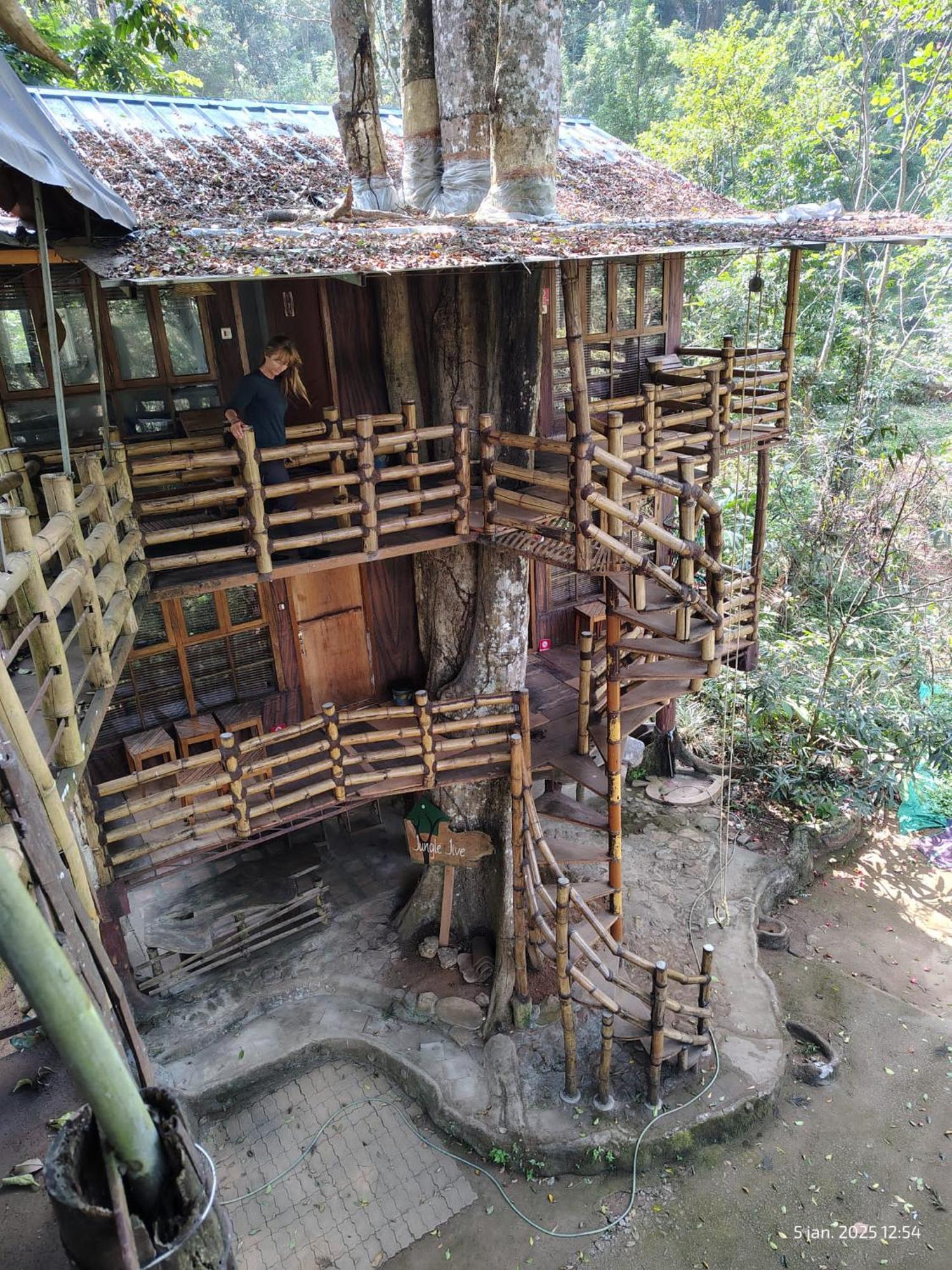 Jungle Jive Treehouse And Farm House Munnar Eksteriør billede