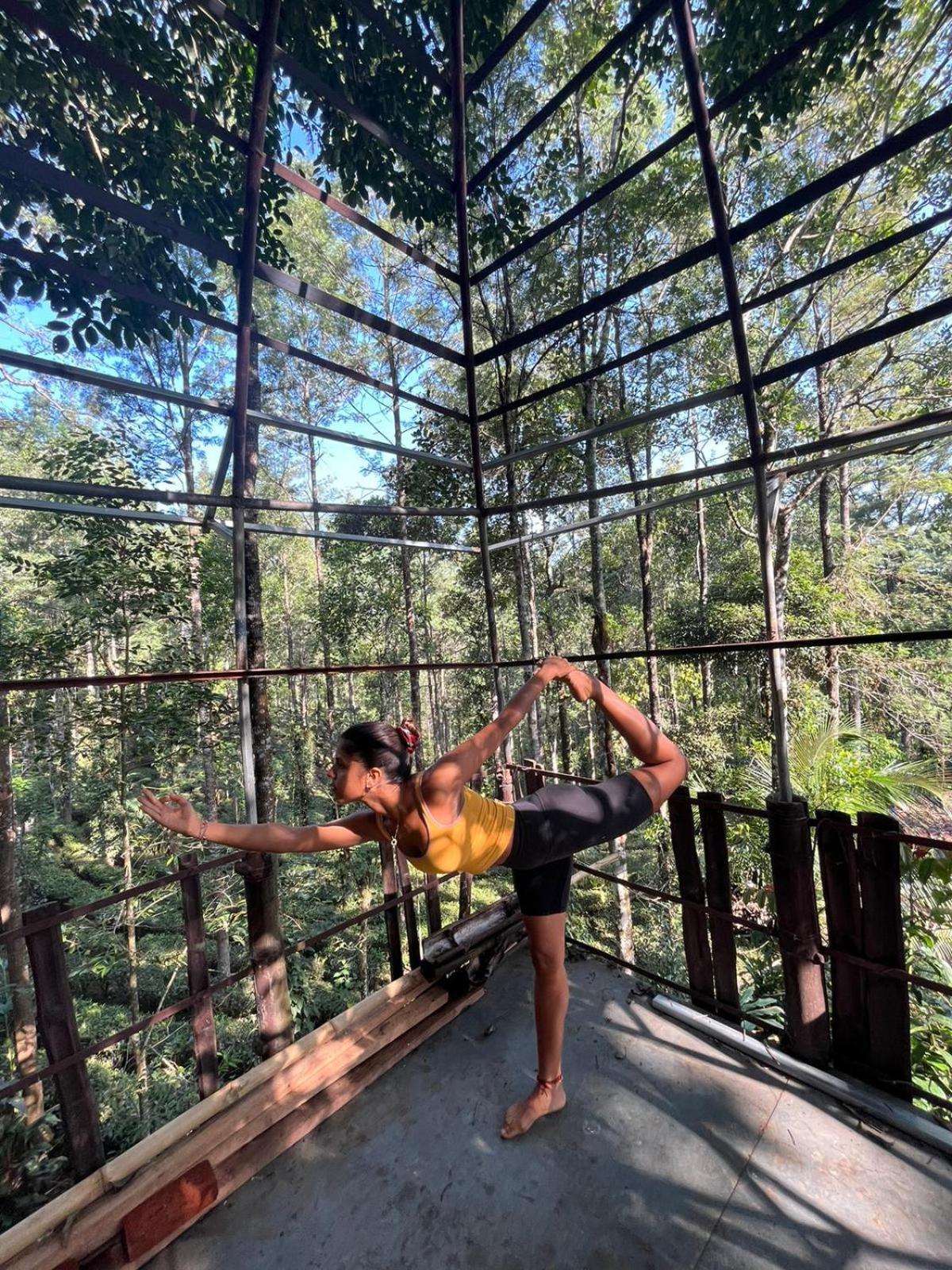 Jungle Jive Treehouse And Farm House Munnar Eksteriør billede